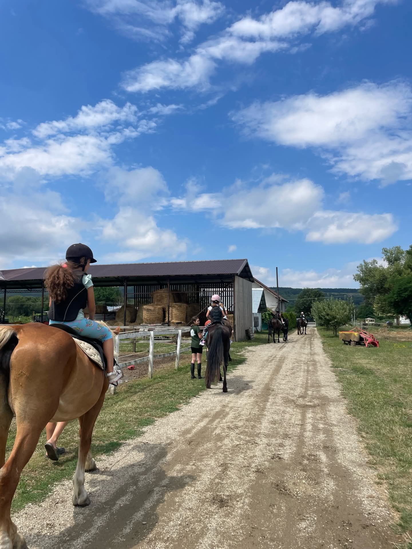Copii călare pe drumul fermei Dacic Horses