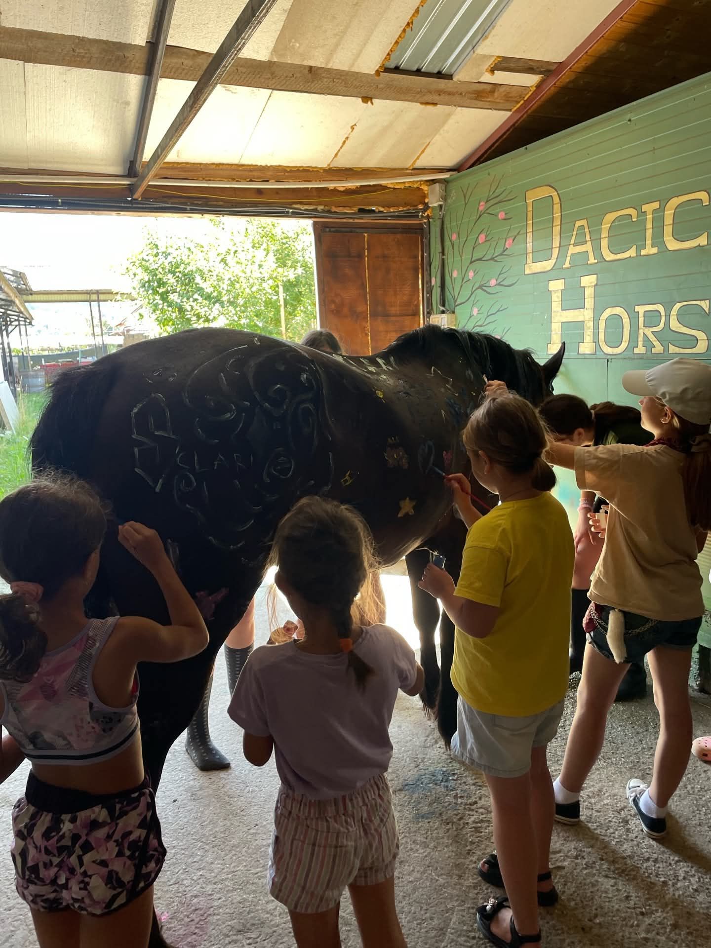 Atelier de pictură pe cal pentru copii, în grajdul Dacic Horses