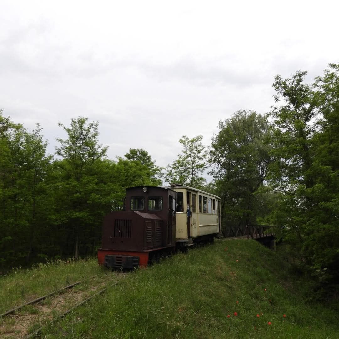 Trenul pe terasament, lângă podul de lemn