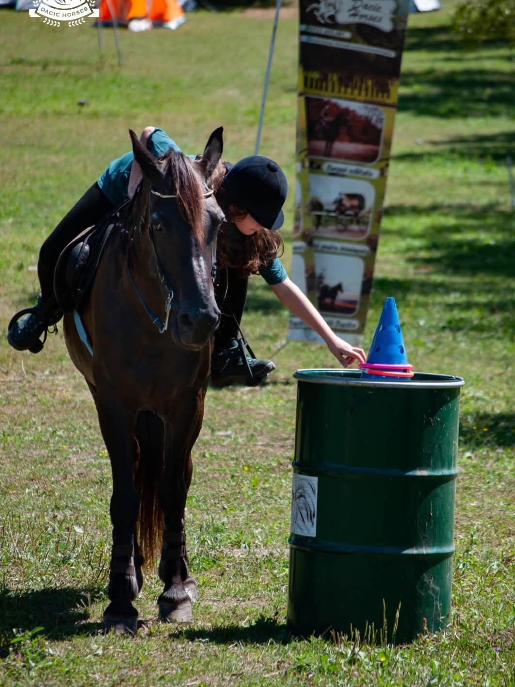 Exercițiu de Working Equitation: călăreață care ridică un inel de pe un butoi